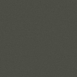 Galerie Wallcoverings Product Code DC30116 - Designer Colours Wallpaper Collection - Green Colours - Abstract Texture Design