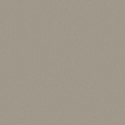 Galerie Wallcoverings Product Code DC30155 - Designer Colours Wallpaper Collection - Silver Grey Colours - Raised Texture Design
