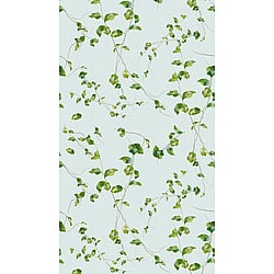 Galerie Wallcoverings Product Code WH45246M - Welcome Home Murals Wallpaper Collection - Blue, Green Colours - Trailing Ivy Design
