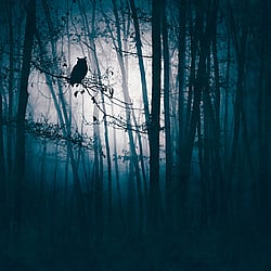 Galerie Wallcoverings Product Code WH45274M - Welcome Home Murals Wallpaper Collection - Blue, Grey, Black Colours - Owl in Moonlight Design