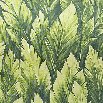 Galerie Wallcoverings Product Code 26708 - Tropical Wallpaper Collection - Avocado Colours -  