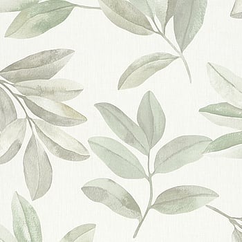 Galerie Wallcoverings Product Code 34708 - The New Design Book Wallpaper Collection - White,Green Colours -  