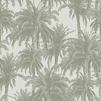 Galerie Wallcoverings Product Code ED13054 - Ted Baker Eden Wallpaper Collection - White Green Colours -  