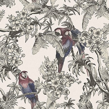 Galerie Wallcoverings Product Code ED13087 - Ted Baker Eden Wallpaper Collection - Pink Red Blue Black Colours -  