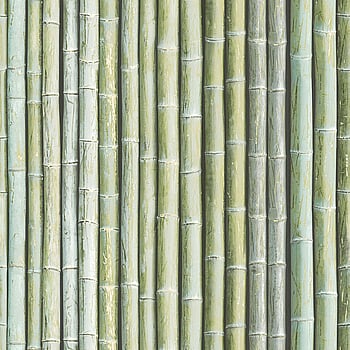 Galerie Wallcoverings Product Code G67941 - Organic Textures Wallpaper Collection - Green Colours -  