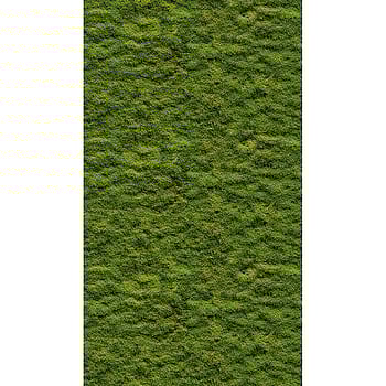 Galerie Wallcoverings Product Code WH45208M - Welcome Home Murals Wallpaper Collection - Green Colours -  